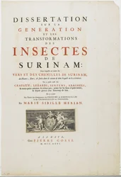 Titelseite aus Metamorphosis Insectorum Surinamensium, 1726